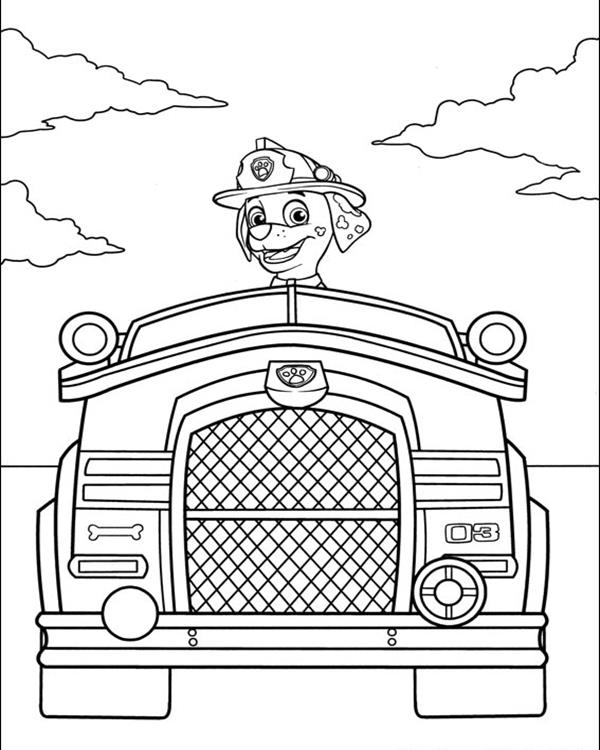 Plansa de colorat cu Paw Patrol 50 46